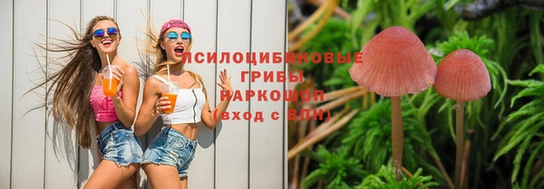 jwh Михайловка