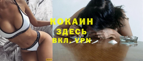 дмт Бердск