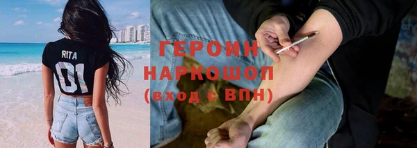 прущие грибы Михайлов