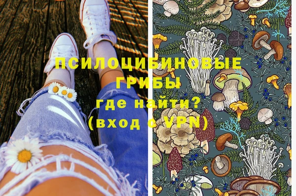 прущие грибы Михайлов