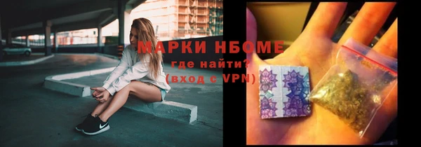 прущие грибы Михайлов
