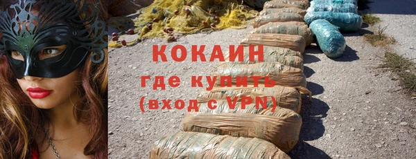 прущие грибы Михайлов