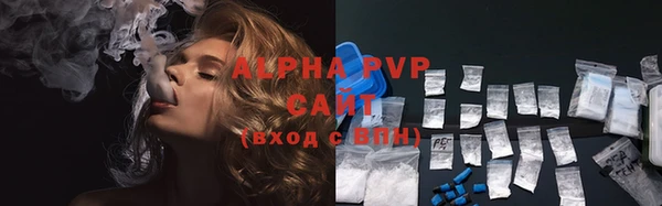 прущие грибы Михайлов