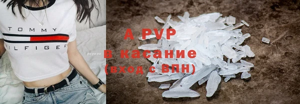 прущие грибы Михайлов