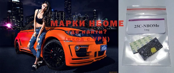 прущие грибы Михайлов
